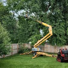 Seminole Manor, FL Tree Care  Company